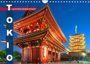Tokio: Lichter einer Stadt (Wandkalender 2022 DIN A4 quer) von CALVENDO