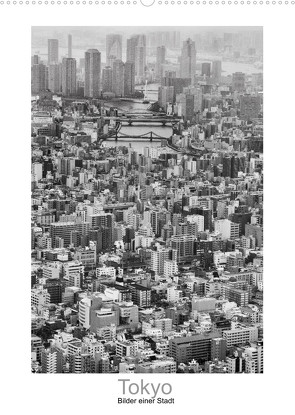 Tokyo – Bilder einer Stadt (Wandkalender 2023 DIN A2 hoch) von Scheffner,  Jan