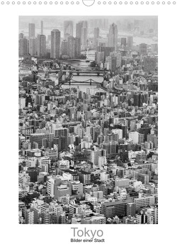 Tokyo – Bilder einer Stadt (Wandkalender 2023 DIN A3 hoch) von Scheffner,  Jan