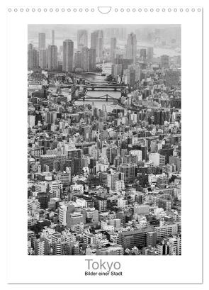 Tokyo – Bilder einer Stadt (Wandkalender 2024 DIN A3 hoch), CALVENDO Monatskalender von Scheffner,  Jan