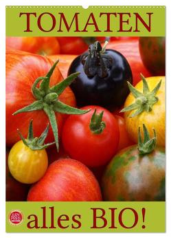 Tomaten – Alles BIO! (Wandkalender 2024 DIN A2 hoch), CALVENDO Monatskalender von Cross,  Martina