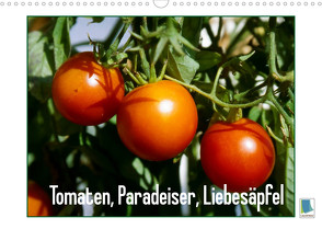 Tomaten, Paradeiser, Liebesäpfel (Wandkalender 2022 DIN A3 quer) von CALVENDO