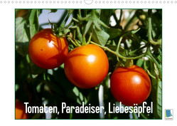 Tomaten, Paradeiser, Liebesäpfel (Wandkalender 2023 DIN A3 quer) von CALVENDO