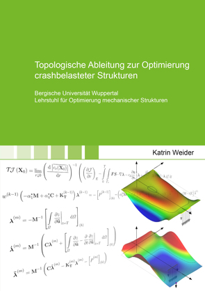 Topologische Ableitung zur Optimierung crashbelasteter Strukturen von Weider,  Katrin