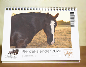 Tischkalender Pferde 2020 von Waldow,  Michael, Wohlleben,  Sandy