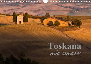 Toskana – mio amore (Wandkalender 2021 DIN A4 quer) von ledieS,  Katja