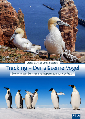 Tracking – Der gläserne Vogel von Garthe,  Stefan, Kubetzki,  Ulrike