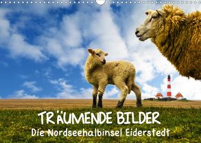 Träumende Bilder – Die Nordseehalbinsel Eiderstedt (Wandkalender 2020 DIN A3 quer) von Peeh,  Doro