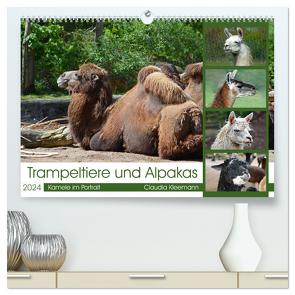 Trampeltiere und Alpakas (hochwertiger Premium Wandkalender 2024 DIN A2 quer), Kunstdruck in Hochglanz von Kleemann,  Claudia
