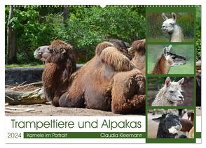 Trampeltiere und Alpakas (Wandkalender 2024 DIN A2 quer), CALVENDO Monatskalender von Kleemann,  Claudia