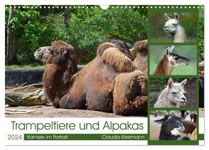 Trampeltiere und Alpakas (Wandkalender 2024 DIN A3 quer), CALVENDO Monatskalender von Kleemann,  Claudia
