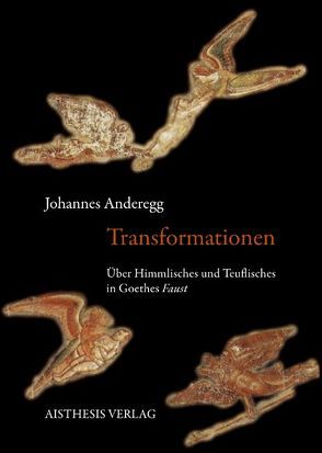 Transformationen von Anderegg,  Johannes