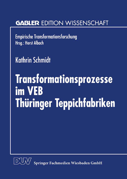 Transformationsprozesse im VEB Thüringer Teppichfabriken von Schmidt,  Kathrin