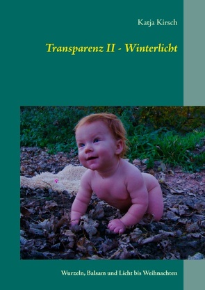 Transparenz II – Winterlicht von Kirsch,  Katja