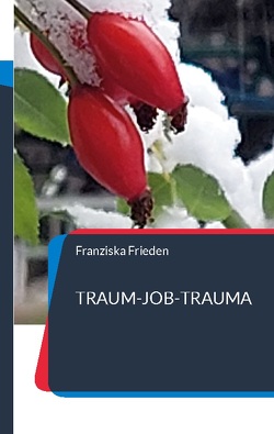 „Traum-Job-Trauma“ von Frieden,  Franziska