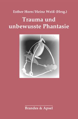 Trauma und unbewusste Phantasie von Bohleber,  Werner, De Masi,  Franco, Frank,  Claudia, Horn,  Esther, Leuzinger-Bohleber,  Marianne, Steiner,  John, Weiß,  Heinz