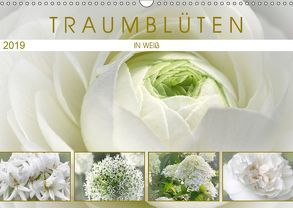 Traumblüten in Weiß (Wandkalender 2019 DIN A3 quer) von Cross,  Martina