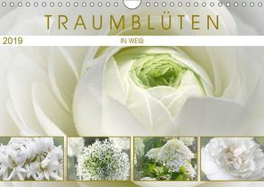 Traumblüten in Weiß (Wandkalender 2019 DIN A4 quer) von Cross,  Martina