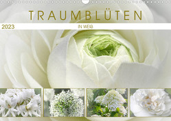 Traumblüten in Weiß (Wandkalender 2023 DIN A3 quer) von Cross,  Martina