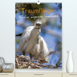 Traumflieger – Afrikas magische Vogelwelt (Premium, hochwertiger DIN A2 Wandkalender 2021, Kunstdruck in Hochglanz) von Pavlowsky,  Markus