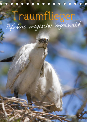 Traumflieger – Afrikas magische Vogelwelt (Tischkalender 2023 DIN A5 hoch) von Pavlowsky,  Markus