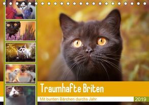 Traumhafte Briten (Tischkalender 2019 DIN A5 quer) von Tierfotografie by Janina Bürger,  Wabi-Sabi