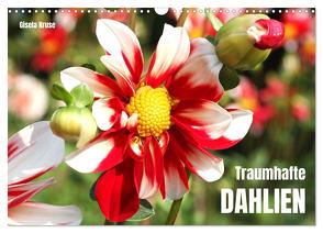 Traumhafte Dahlien (Wandkalender 2024 DIN A3 quer), CALVENDO Monatskalender von Kruse,  Gisela