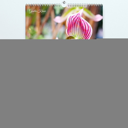 Traumhafte Orchideen (hochwertiger Premium Wandkalender 2024 DIN A2 hoch), Kunstdruck in Hochglanz von Kruse,  Gisela