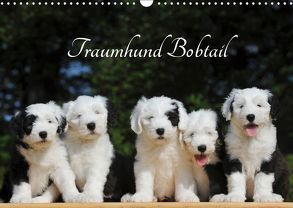 Traumhund Bobtail (Wandkalender 2019 DIN A3 quer) von Starick,  Sigrid