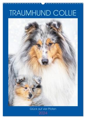 Traumhund Collie – Glück auf vier Pfoten (Wandkalender 2024 DIN A2 hoch), CALVENDO Monatskalender von Starick,  Sigrid