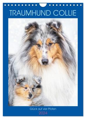 Traumhund Collie – Glück auf vier Pfoten (Wandkalender 2024 DIN A4 hoch), CALVENDO Monatskalender von Starick,  Sigrid