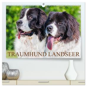 Traumhund Landseer (hochwertiger Premium Wandkalender 2024 DIN A2 quer), Kunstdruck in Hochglanz von Starick,  Sigrid