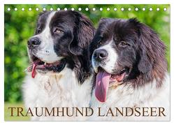Traumhund Landseer (Tischkalender 2024 DIN A5 quer), CALVENDO Monatskalender von Starick,  Sigrid