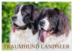 Traumhund Landseer (Wandkalender 2024 DIN A3 quer), CALVENDO Monatskalender von Starick,  Sigrid