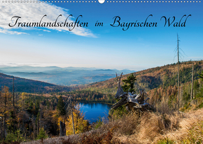 Traumlandschaften im Bayrischen Wald (Wandkalender 2021 DIN A2 quer) von Stadler,  Lisa