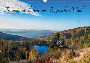 Traumlandschaften im Bayrischen Wald (Wandkalender 2021 DIN A3 quer) von Stadler,  Lisa