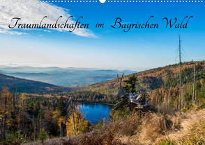 Traumlandschaften im Bayrischen Wald (Wandkalender 2023 DIN A2 quer) von Stadler,  Lisa