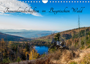 Traumlandschaften im Bayrischen Wald (Wandkalender 2023 DIN A4 quer) von Stadler,  Lisa