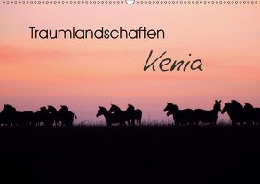 Traumlandschaften Kenia (Wandkalender 2019 DIN A2 quer) von Herzog,  Michael