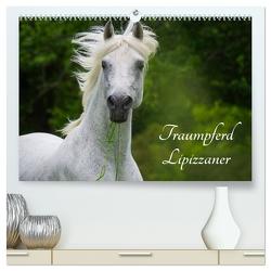 Traumpferd Lipizzaner (hochwertiger Premium Wandkalender 2024 DIN A2 quer), Kunstdruck in Hochglanz von Starick,  Sigrid