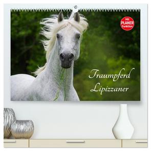 Traumpferd Lipizzaner (hochwertiger Premium Wandkalender 2024 DIN A2 quer), Kunstdruck in Hochglanz von Starick,  Sigrid