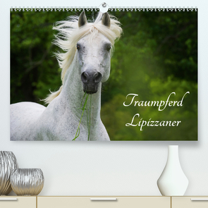 Traumpferd Lipizzaner (Premium, hochwertiger DIN A2 Wandkalender 2021, Kunstdruck in Hochglanz) von Starick,  Sigrid