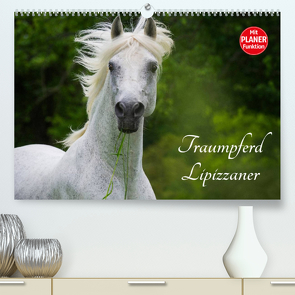 Traumpferd Lipizzaner (Premium, hochwertiger DIN A2 Wandkalender 2022, Kunstdruck in Hochglanz) von Starick,  Sigrid