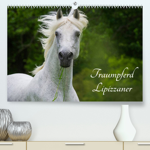 Traumpferd Lipizzaner (Premium, hochwertiger DIN A2 Wandkalender 2022, Kunstdruck in Hochglanz) von Starick,  Sigrid