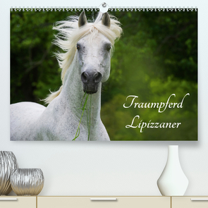 Traumpferd Lipizzaner (Premium, hochwertiger DIN A2 Wandkalender 2020, Kunstdruck in Hochglanz) von Starick,  Sigrid