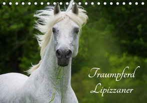 Traumpferd Lipizzaner (Tischkalender 2021 DIN A5 quer) von Starick,  Sigrid