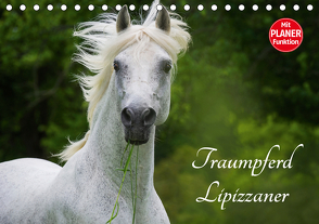 Traumpferd Lipizzaner (Tischkalender 2021 DIN A5 quer) von Starick,  Sigrid