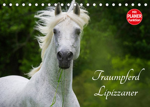 Traumpferd Lipizzaner (Tischkalender 2022 DIN A5 quer) von Starick,  Sigrid