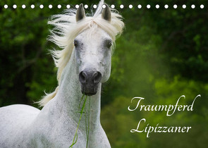 Traumpferd Lipizzaner (Tischkalender 2022 DIN A5 quer) von Starick,  Sigrid