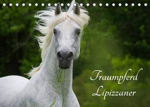 Traumpferd Lipizzaner (Tischkalender 2023 DIN A5 quer) von Starick,  Sigrid